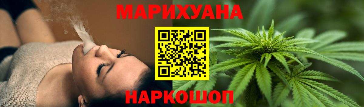 Конопля Bruce Banner  Вход с VPN  Бошки марихуана Amnesia  Бошки марихуана THC 21%  Бошки марихуана THC 21%  Невинномысск 